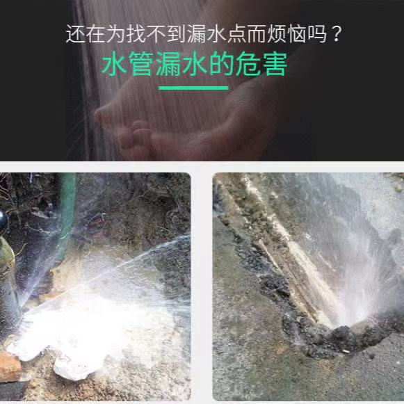 查漏水点检漏仪测漏仪高精度卫生间暗管地下自来水管道测漏水仪器 - 图0