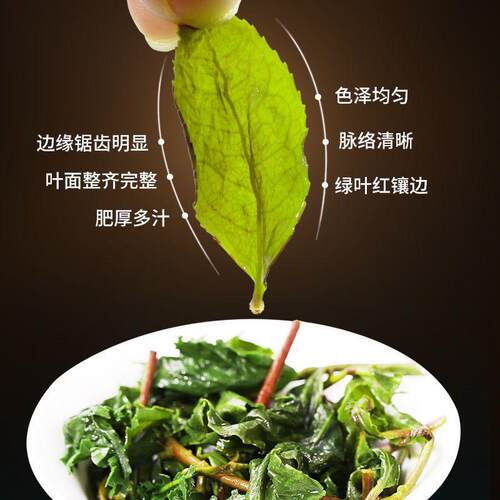 福建安溪2026新茶 浓香型铁观音茶叶  兰花香乌龙茶春茶 官方正品 - 图0
