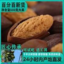 2023 New cargo special class Fried Freshly Selected Cilanshu Shengzhou Tefic bagged 500g nuts for frying and snacking