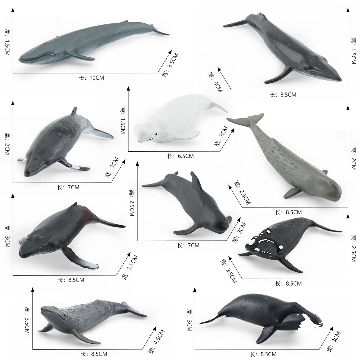 跨境仿真海洋动物模型露脊鲸白鲸布氏鲸座头鲸鲸鱼套装装饰摆件-图3