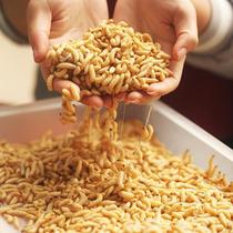 Corn Grape Honey Large Wax Borer Young High Protein Body Pet Bird Food Patron Grain feed