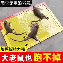 Mouse sticker powerful sticky rat plate Ghostbusters Giant Rat Catch the rat cage Rat Trap the Mouse Trap Gods home One cohorts end 50