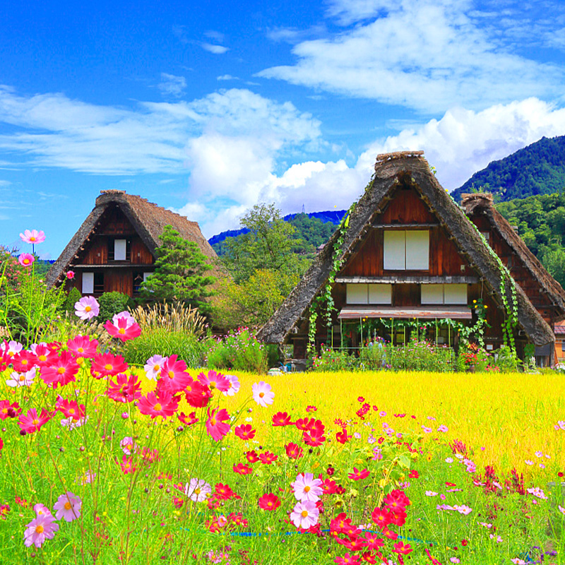 途益日本名古屋飞驒高山白川乡合掌村一日游日本旅游世界文化遗-图0