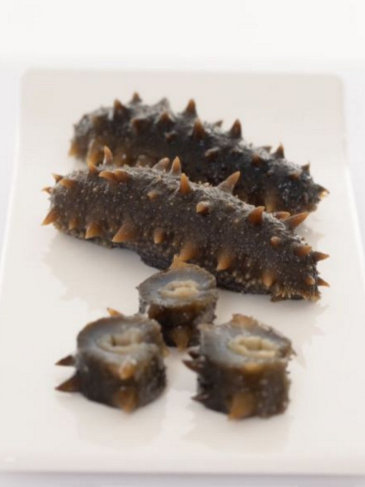  海参小岛生鲜海参