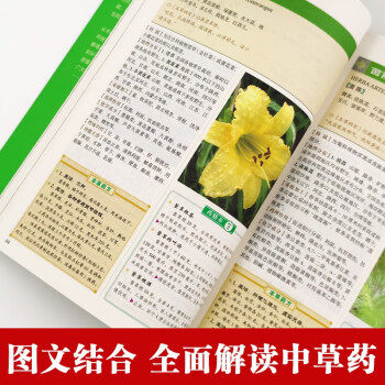 中医养生宝典全8册 彩图精解老偏方刮痧拔罐生活禁忌窍门健康养生书 - 图2