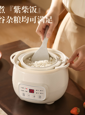 全自动隔水炖家用煮粥神器