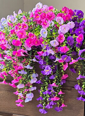 跨境爆款69目挂藤牵牛花高品质把