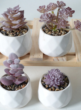 紫色系植绒仿多肉植物绿植家居