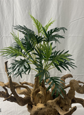仿绿植墙上造型把束绿叶紫苏橡树
