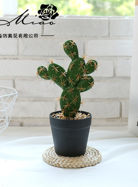 假花热带植物仙人球仿盆栽人造多