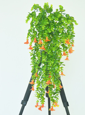 仿壁挂尤加利牵牛花婚庆植物墙装