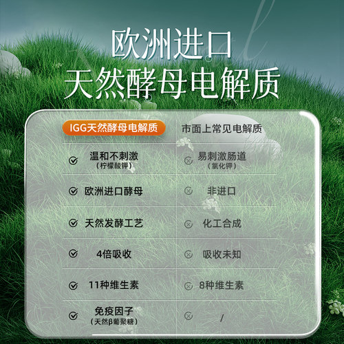 IGG鹦鹉电解质专用多维鸟用粉玄凤小太阳营养水补充葡萄糖抗应激 - 图2