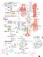 Huo Kun's systematic anatomy notes paper - 154 pages