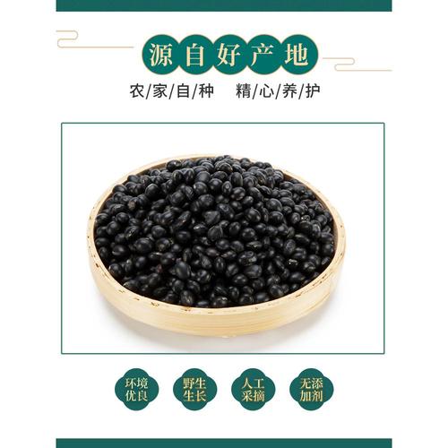 东北绿芯黑豆23年农家新豆打豆浆专用醋泡青仁小乌豆粗粮杂粮豆类