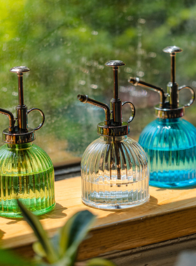 家用小型喷水壶高颜值玻璃浇花