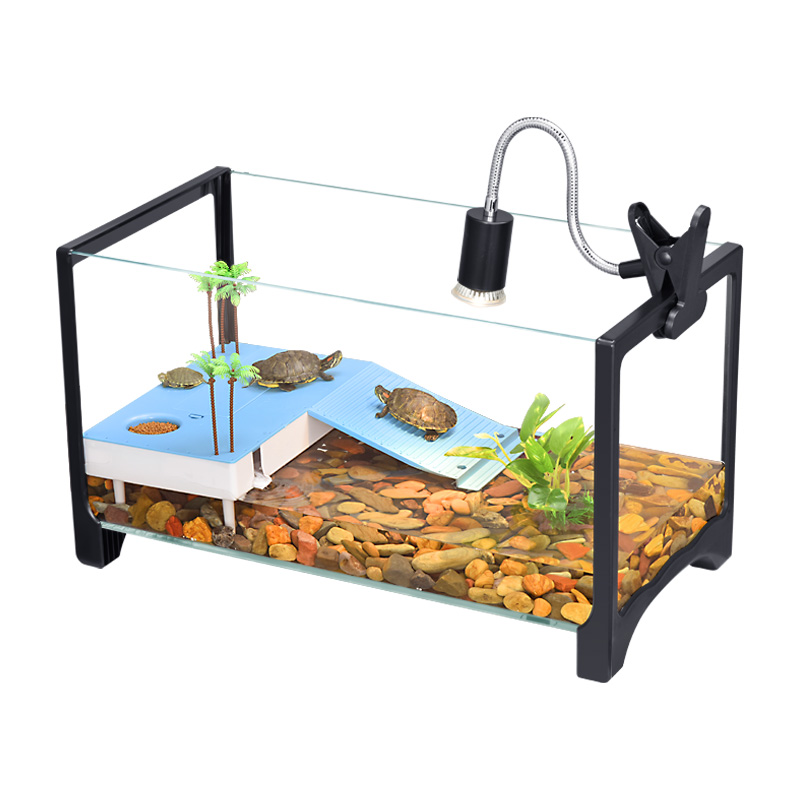 乌龟专用饲养缸鱼缸养乌龟专用缸家用生态造景缸鱼乌龟混养玻璃缸 - 图3