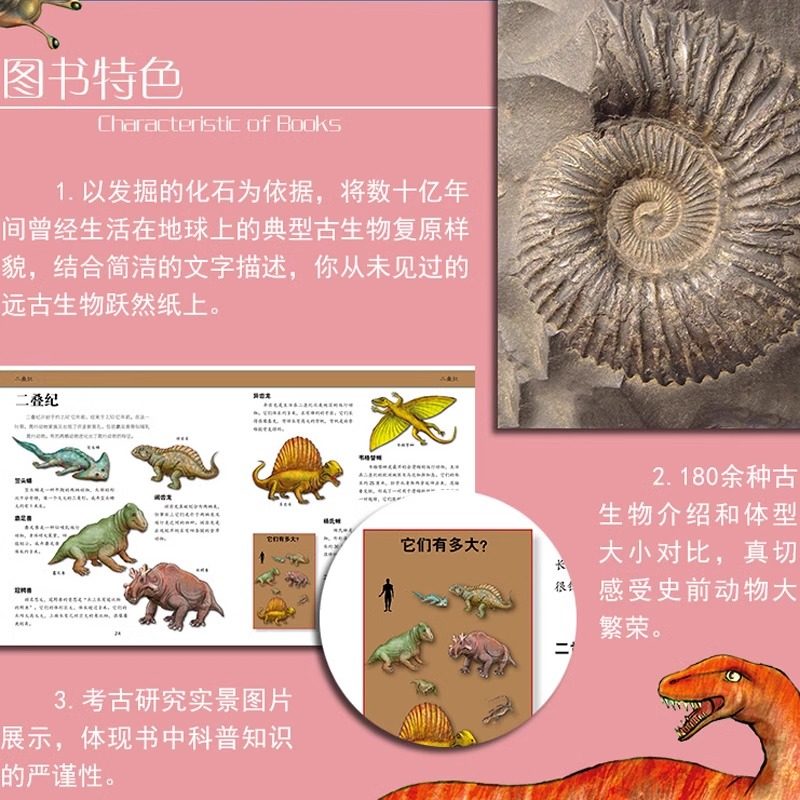 图 4