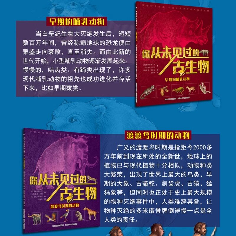图 3
