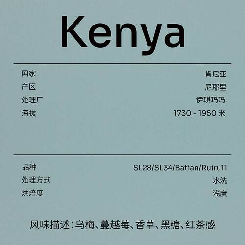 SLABTOWN 乌梅香草黑糖 肯尼亚伊琪玛玛浅烘手冲新鲜咖啡豆 - 图2