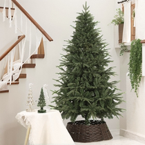 Phase Thinking Green Christmas Decorations Christmas Tree PE PVC Mixed Encrypted Home Christmas Tree Shop Window Scene Arrangement