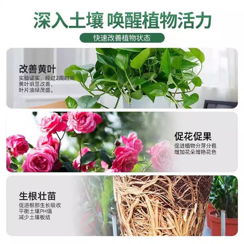 营养液袋装水溶性通用型家用浓缩花肥郁金香绿箩水培植物营养液,淘宝优惠券,粉丝福利购,淘宝优惠卷