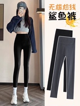 (Kuchens Exploits) Shark Pants High Waist Collection Belly-up Hip Lean Yoga Pants Autumn Winter Garnter Outwear Underpants