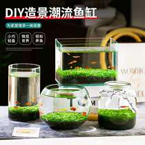 Hydroponic plant fish tank integrated fish tank decorated with view water plant glass vase transparent water grass muddy grass seed