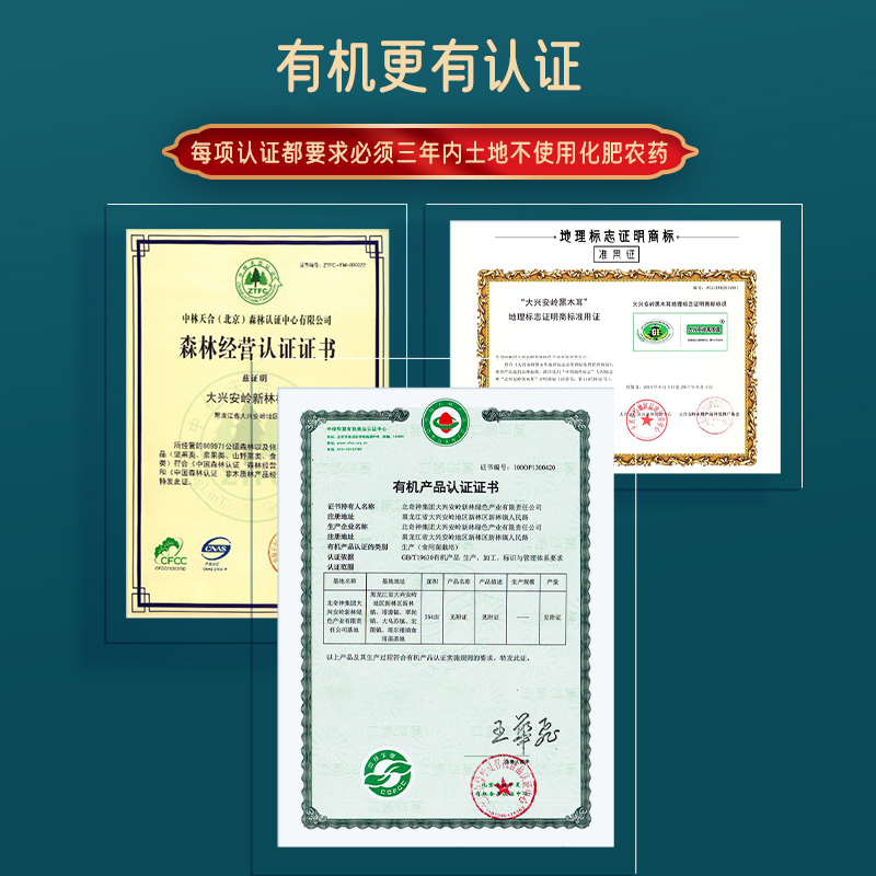 瓷瓶有机白玉木耳黑龙江土特产级大兴安岭干货山珍过节送礼盒200g