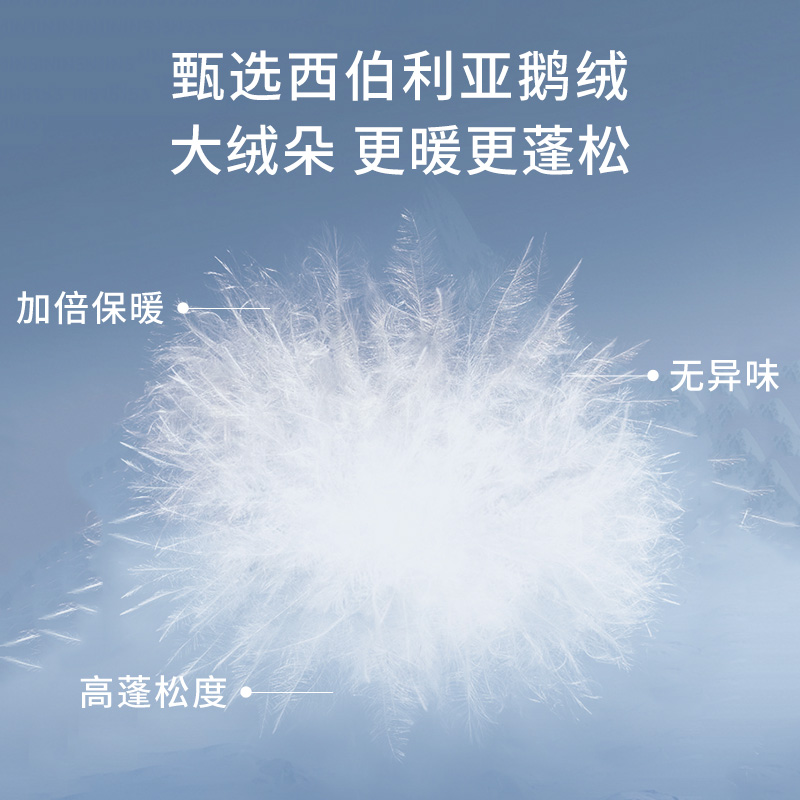 lng男女同款轻暖西伯利亚鹅绒宽松柔软百搭时尚高蓬羽绒服 - 图0