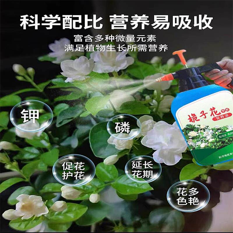 栀子花黄叶掉叶掉花苞专用肥料营养液急救液体助生长叶增绿促开花