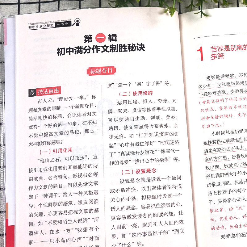 2026新版易佰作文初中生满分作文一本全名师指导初一初二初三初中七八九年级语文写作考试工具辅导书中考作文人物说明应用文