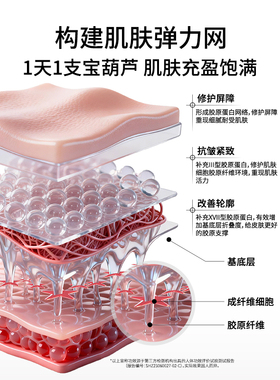 紧致修护滋养人源化重组胶原液