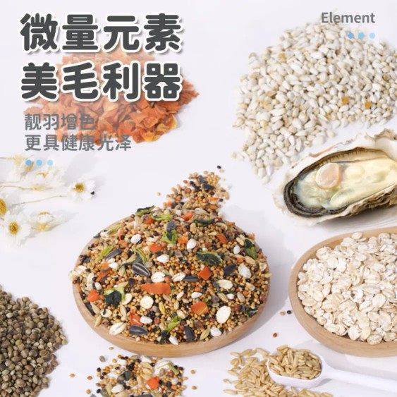宠尚天 牡丹玄凤虎皮鹦鹉饲料罐装cst807多重营养均衡水果干鸟食,淘宝优惠券,粉丝福利购,淘宝优惠卷