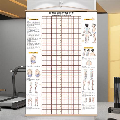 体测评估图健身房脊柱姿势体态评估表瑜伽私教体态评估图体脂背景 - 图1