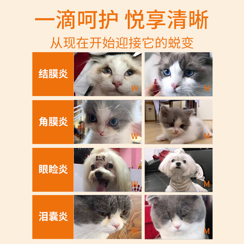 硫酸新霉素滴眼液宠物狗狗猫眼药水消炎猫鼻支结角膜炎泪痕去眼屎,淘宝优惠券,粉丝福利购,淘宝优惠卷