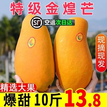 Hainan Golden Huang Mango Xian Mango 10 Catty Fresh Tropical Fruits Should Be Now Off The Green Sweetheart Manger Box