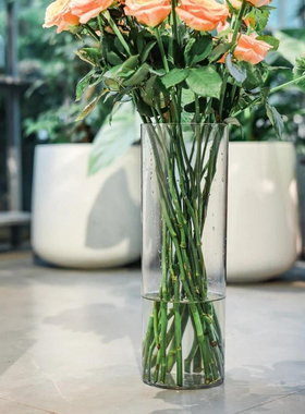亚克力防摔透明花瓶直筒水养富贵竹客厅简约大口径桌面摆件