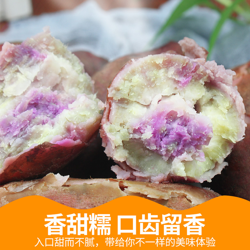 广东沙地花心冰淇淋红薯5-9斤新鲜地瓜粉糯板栗红薯一点红紫心薯