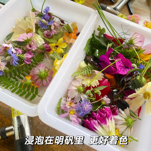 拓印植物敲拓染鲜花手工新鲜绿植花草材料diy帆布袋方巾书签押花 - 图2