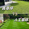 Green grass fake lawn carpet artificial turf paving