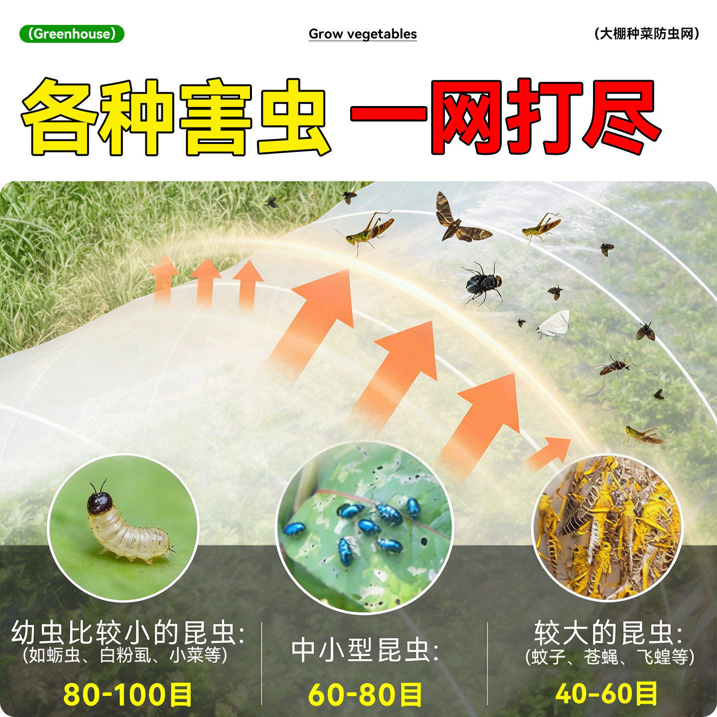 菜园防虫网新型大棚种菜专用纱网农用加厚盖菜果树菜地驱蚊虫网罩,淘宝优惠券,粉丝福利购,淘宝优惠卷