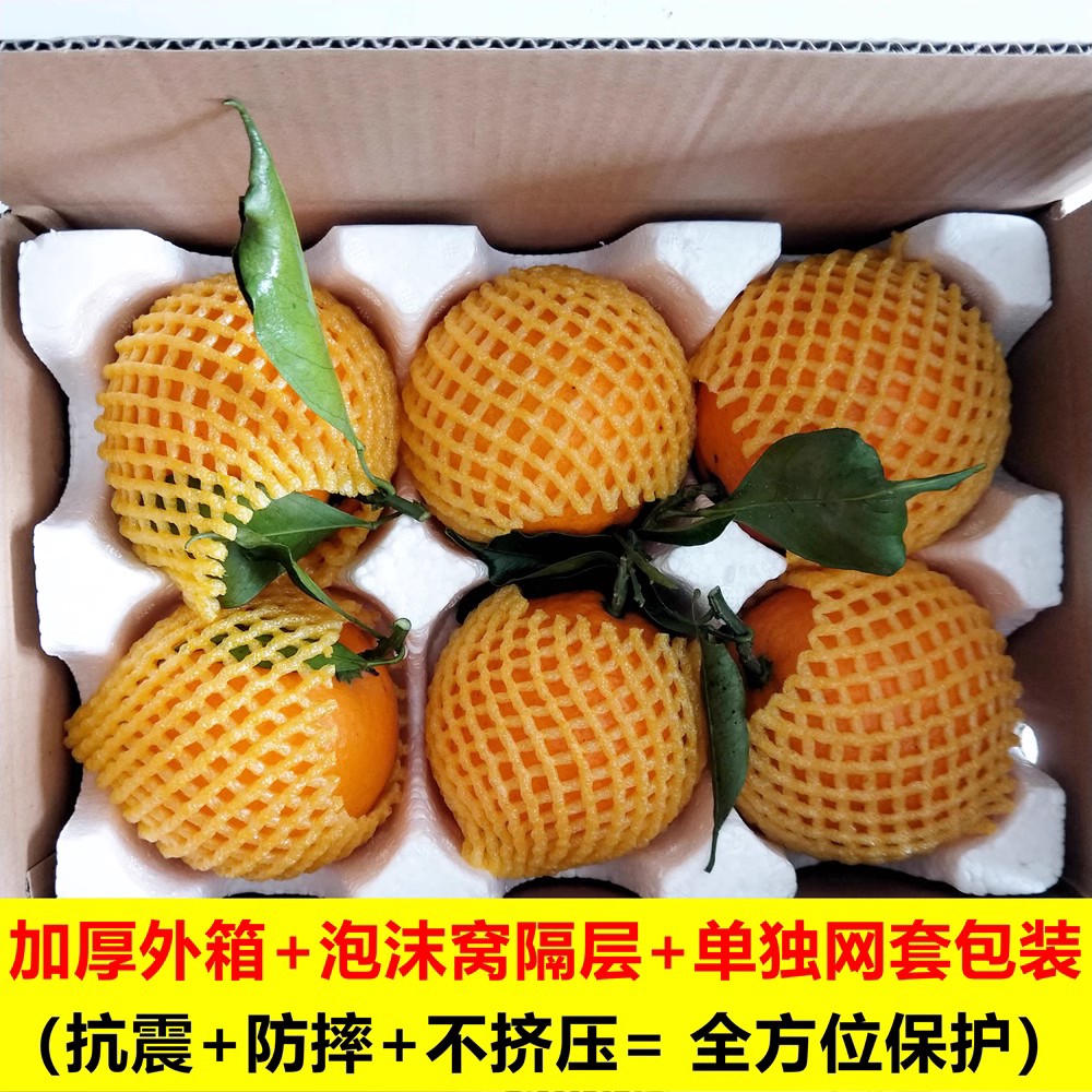 爱媛38号果冻橙新鲜橙子水果当季整箱四川柑橘蜜桔子10斤大果包邮 - 图1