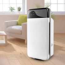 Cat Hair Air Purifier Net Edge Household Fully Automatic Intelligent Purifying Smoke Flavor Disinfection Except Formaldehyde Pet Suction