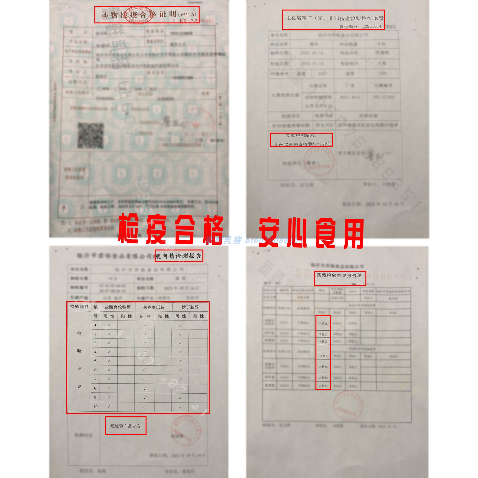 乳猪整只新鲜小乳猪脆皮烤乳猪现杀整只猪冷冻生乳猪烤全猪3-40斤-图1