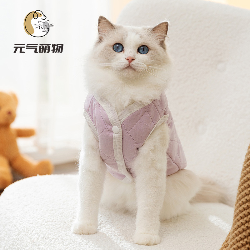 秋冬季日韩可爱风狗狗简约小熊马甲衣服牵引猫咪两脚宠物保暖棉衣,淘宝优惠券,粉丝福利购,淘宝优惠卷