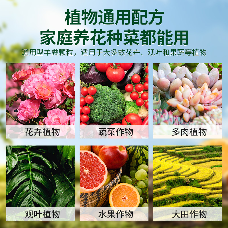 SOILLAND大柿园艺发酵羊粪肥有机农家肥料腐熟颗粒种菜养花用无臭 - 图2