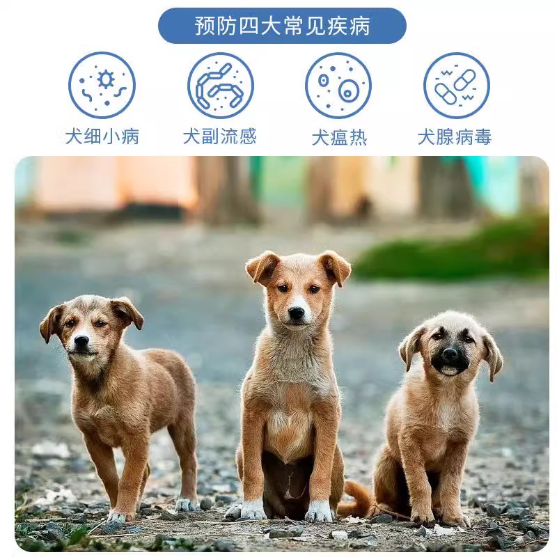 崇冠中牧狗疫苗幼犬中牧犬四联国产疫苗预防细小犬瘟狂犬自打套餐-图0