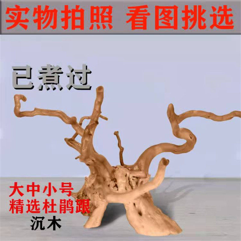 速发饰鹃根已煮 沉品精木成品树形枝条 水族鱼缸造景摆件装杜品,淘宝优惠券,粉丝福利购,淘宝优惠卷