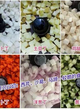 多功能蔬菜切丁机商用萝