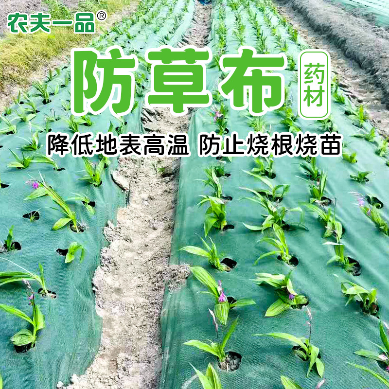 厂家新型农用材绿黑除草布地布地膜降解透气渗水果园防草布 - 图0